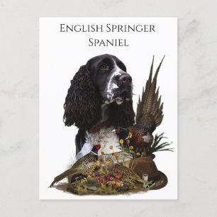 Engelska Springer spanel med fasan Vykort