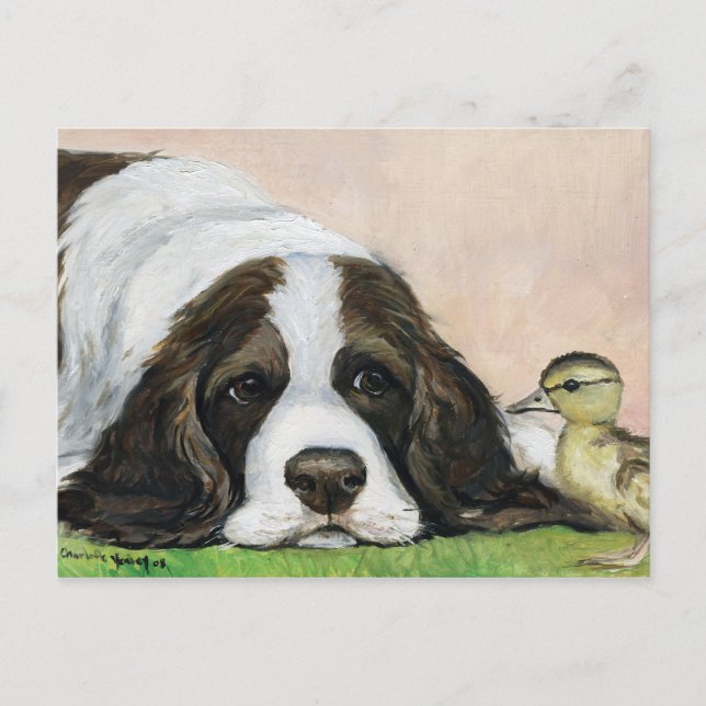 Engelska Springer Spanel och Duckling Art Postcard Vykort (Framsida)