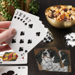 Engelska Springer spanel Pet Photo Kortlek