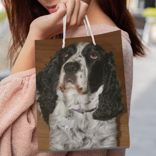 Engelska Springer spanel Pet Photo Medium Gift Bag