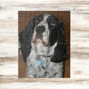 Engelska Springer spanel Pet Photo Pussel