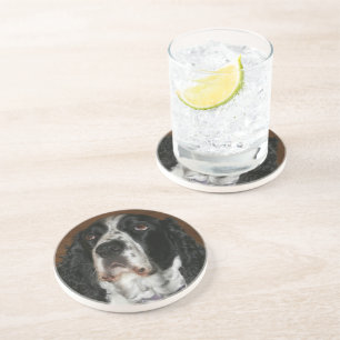 Engelska Springer spanel Pet Photo Sandstone Underlägg