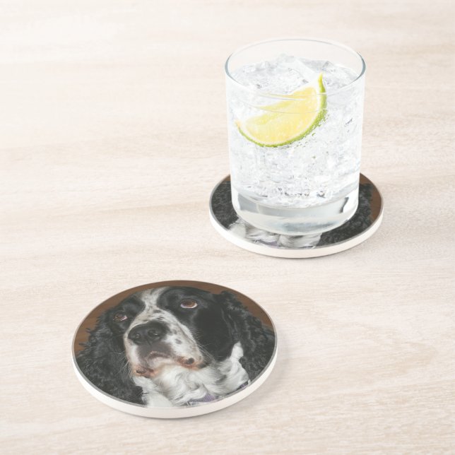 Engelska Springer spanel Pet Photo Sandstone Underlägg (Sidan)