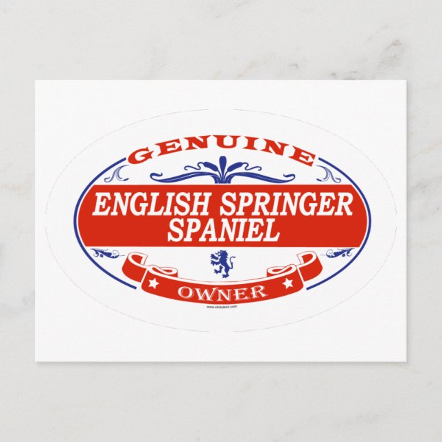 Engelska Springer spanel  Vykort (Framsida)