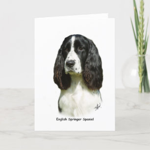 Engelska Springer Spaniel 9J37D-20 Kort
