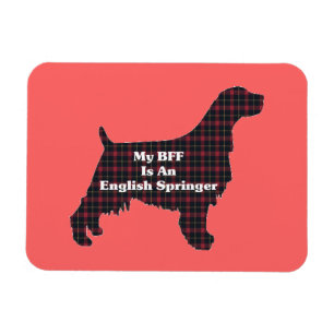 Engelska Springer SPANIEL BFF Magnet