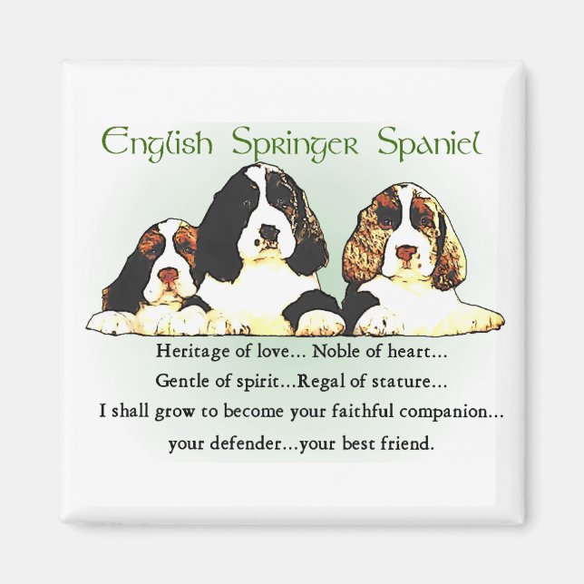 Engelska Springer Spaniel Gifts Magnet (Framsidan)