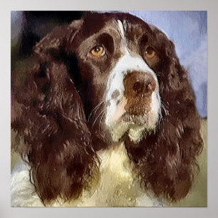 Engelska Springer Spaniel Konstgåvor Poster