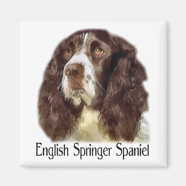 Engelska Springer Spaniel presenter Magnet (Framsidan)