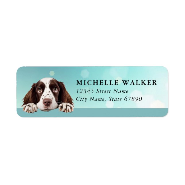 Engelska Springer Spaniel Returadressetiketter Returadress Etikett (Framsidan)