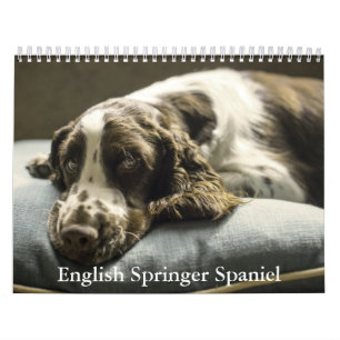 Engelska Springer Spansk kalender