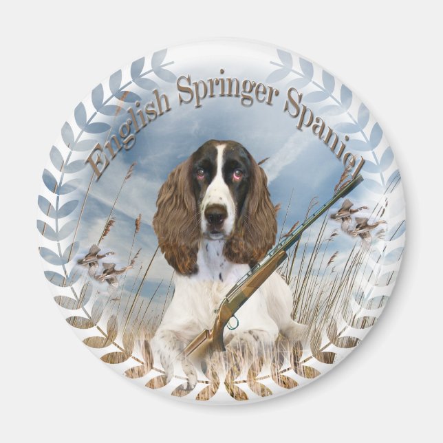 Engelska Springer Spansk magnet (Framsidan)