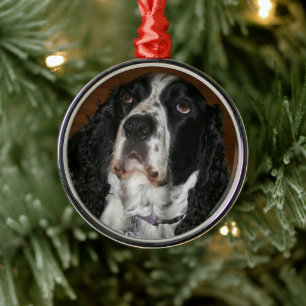 Engelska Springer Spansk Personlig Pet Photo Julgransprydnad Metall