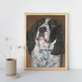 Engelska Springer Spansk Pet Hund Fototryck
