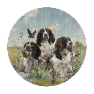 Engelska Springer Spanska;Art