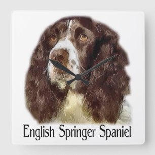 Engelska Springer Spanska Art Fyrkantig Klocka