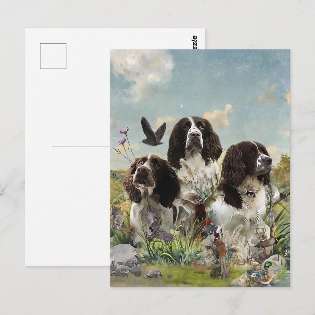 Engelska Springer Spanska;Art Vykort (Fram/baksida)