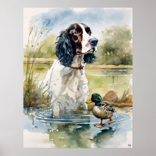 Engelska Springer Spanska - Hund Art Print Poster