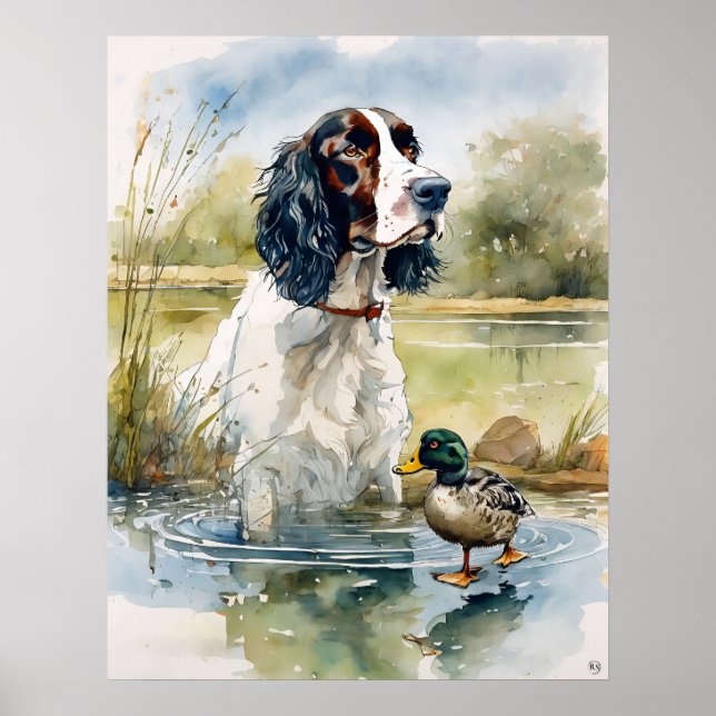 Engelska Springer Spanska - Hund Art Print Poster (Framsidan)