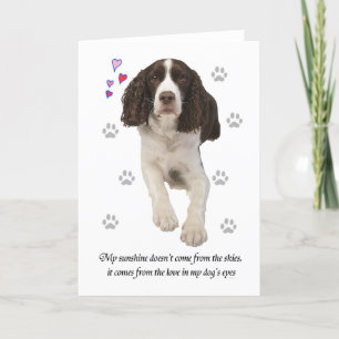 Engelska Springer Spanska Hund Kort