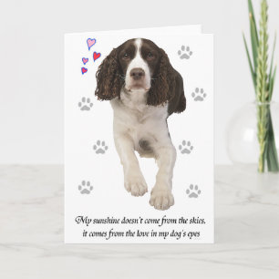 Engelska Springer Spanska Hund Kort