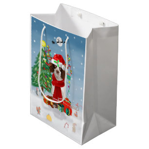 Engelska Springer Spanska hund med julklappar