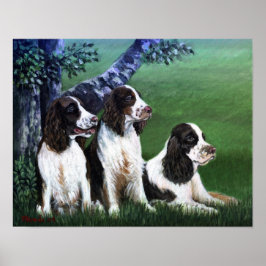 Engelska Springer Spanska Hund Poster Skriv ut