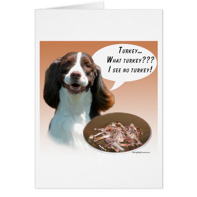 Engelska Springer Spanska Turkiet Hälsningskort (Framsidan)