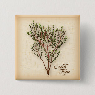 Engelska Thyme Herb Knapp