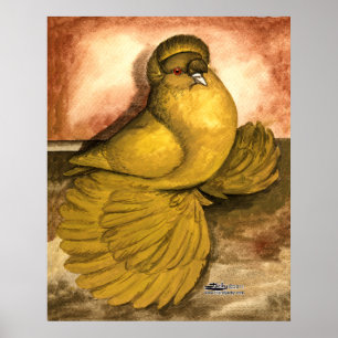 Engelska Trumpeter Pigeon Gult Self Poster