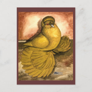 Engelska Trumpeter Pigeon Gult Self Vykort