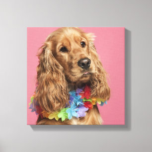 EngelskacockerspanielSpaniel (10 gammala månader) Canvastryck