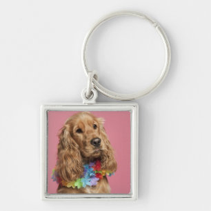 EngelskacockerspanielSpaniel (10 gammala månader) Fyrkantig Silverfärgad Nyckelring