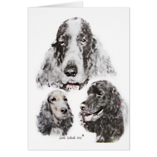 EngelskacockerspanielSpaniel Hälsningskort (Framsidan)