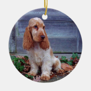 EngelskacockerspanielSpaniel Julgransprydnad Keramik