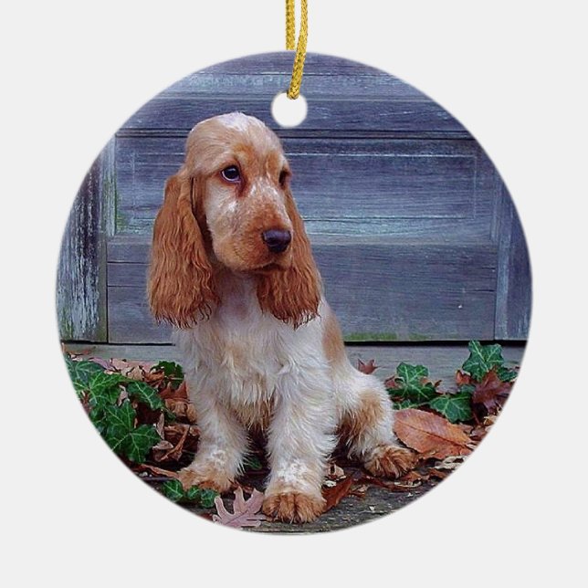 EngelskacockerspanielSpaniel Julgransprydnad Keramik (Framsidan)