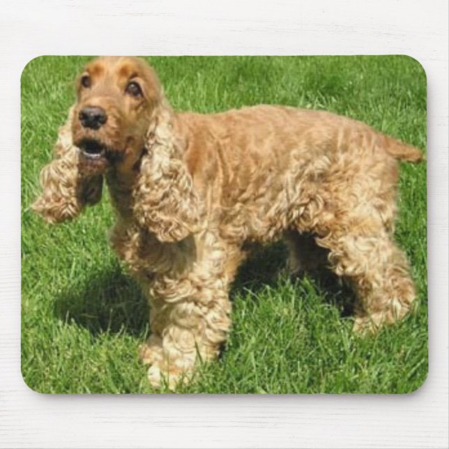 EngelskacockerspanielSpaniel Mousepad Musmatta (Framsidan)