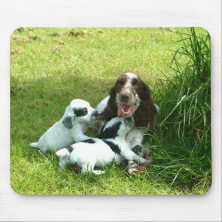 EngelskacockerspanielSpaniel och valpar Mousepad Musmatta