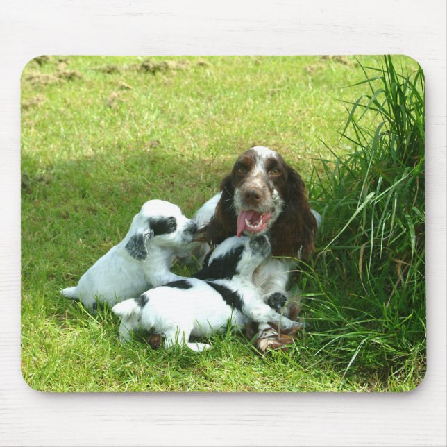 EngelskacockerspanielSpaniel och valpar Mousepad Musmatta (Framsidan)