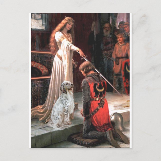 EngelskaSetter 1 - Accolade Vykort (Framsida)