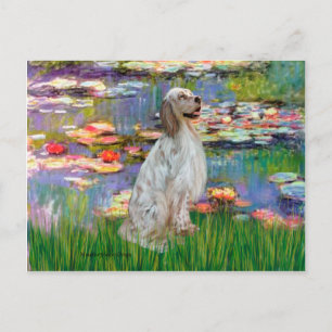 EngelskaSetter 1 - Lilies 2 Vykort