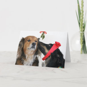 Engelskashepherds under Mistletoekortet! Helgkort