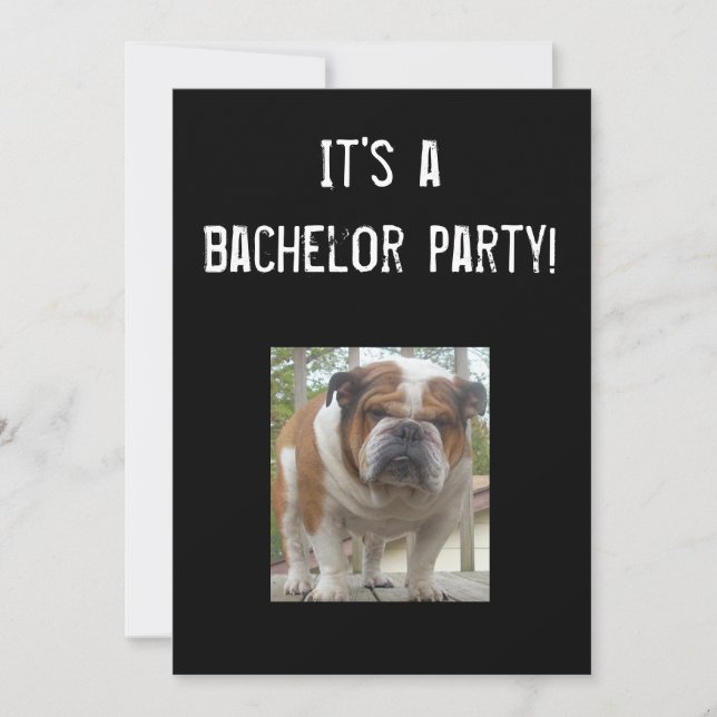 Engelskt Bulldog Bachelorfest Inbjudningar (Framsida)