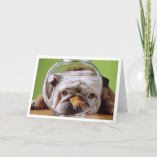 Engelskt bulldog-kort kort