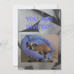 Engelskt Bulldog Partyinbjudningar Inbjudningar