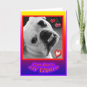 Engelskt bulldoggvalentines daykort helgkort