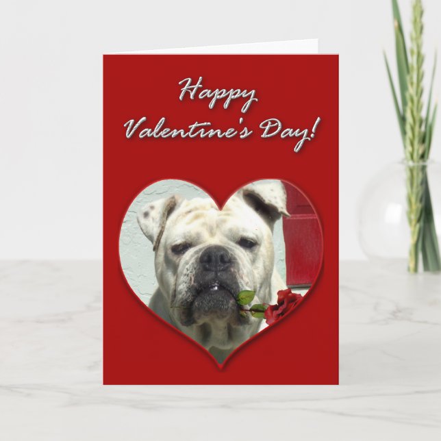 Engelskt bulldoggvalentines daykort helgkort (Framsida)