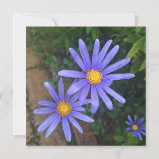 Engelskt Garden Note Card Julkort