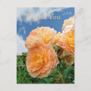 Engelskt Garden Postcard Vykort