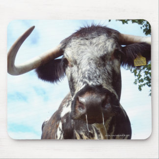 Engelskt Longhornnötkreatur skrämmer Mousepad Musmatta
